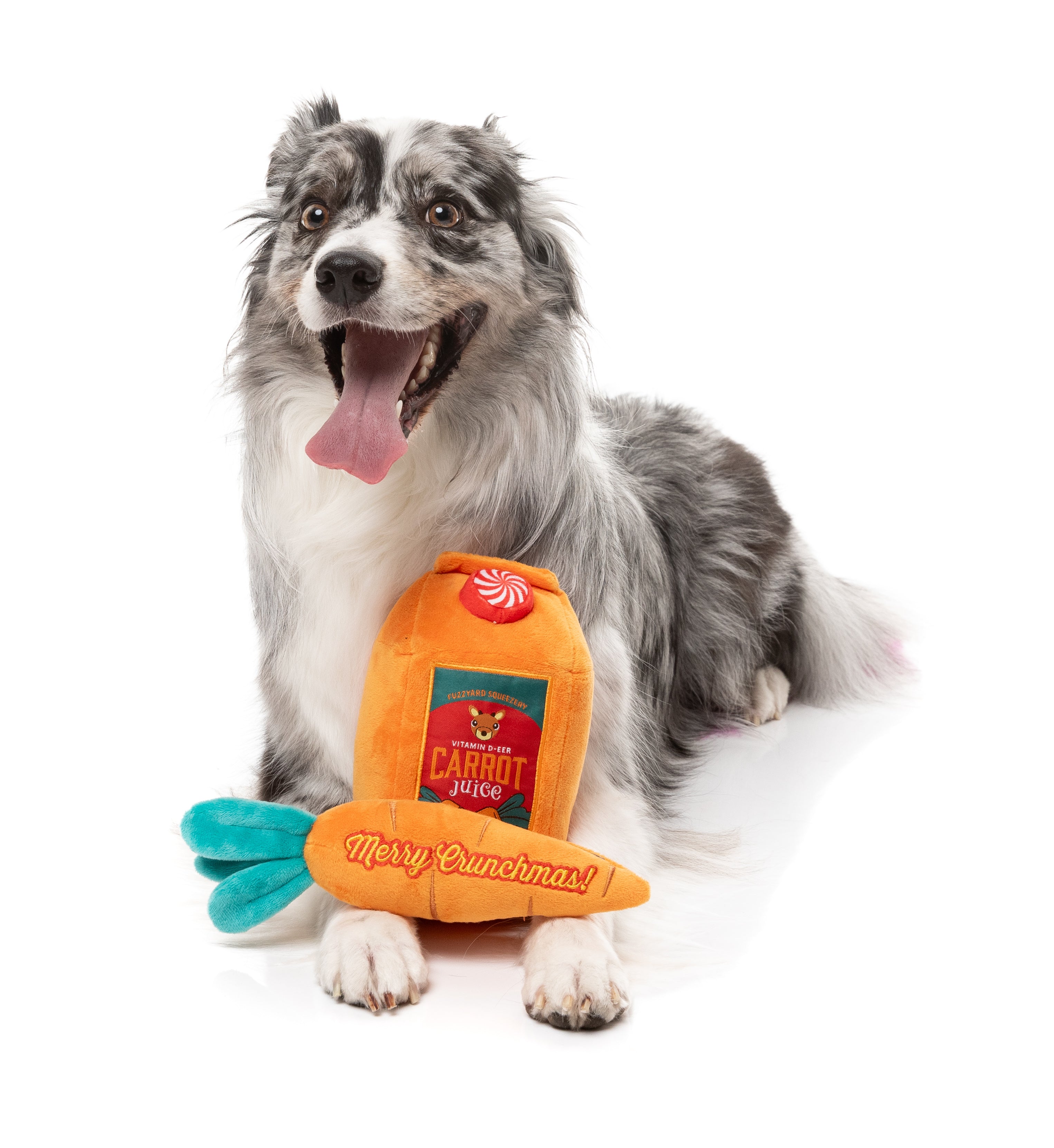 FuzzYard - Reindeer Carrot Juice & Carrot 2PK