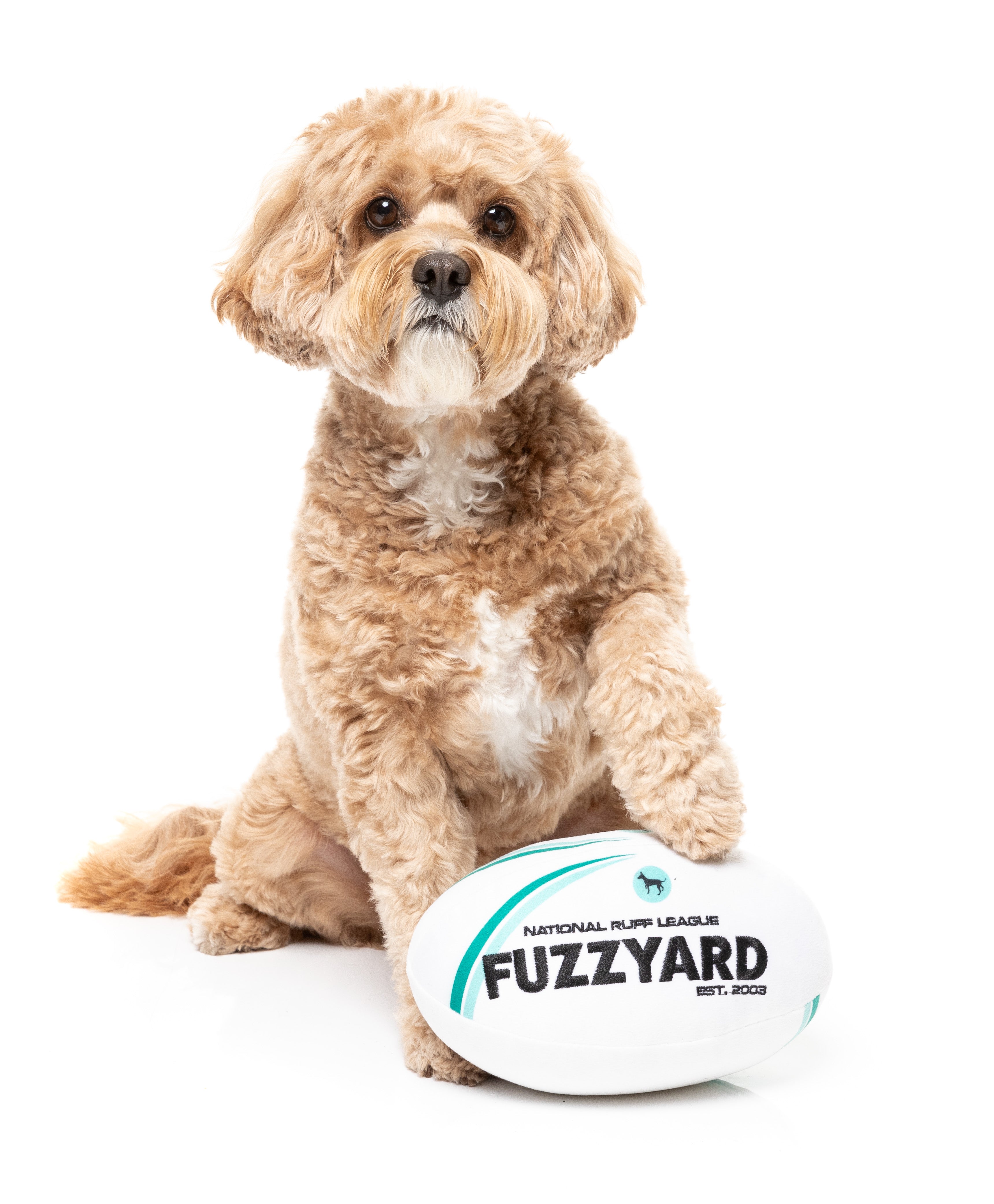FuzzYard - Rugby Ball