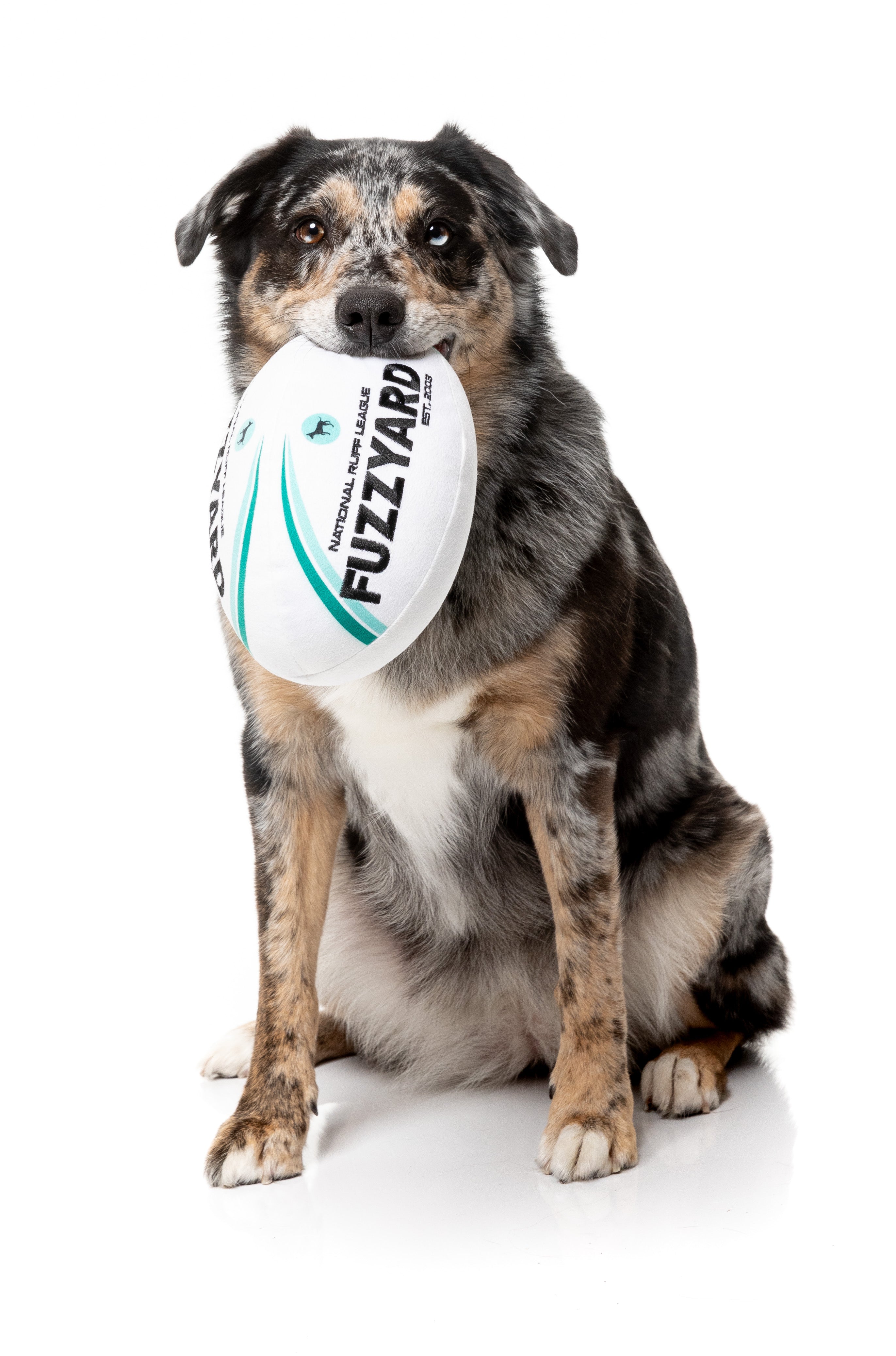 FuzzYard - Rugby Ball