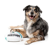 FuzzYard - Rugby Ball