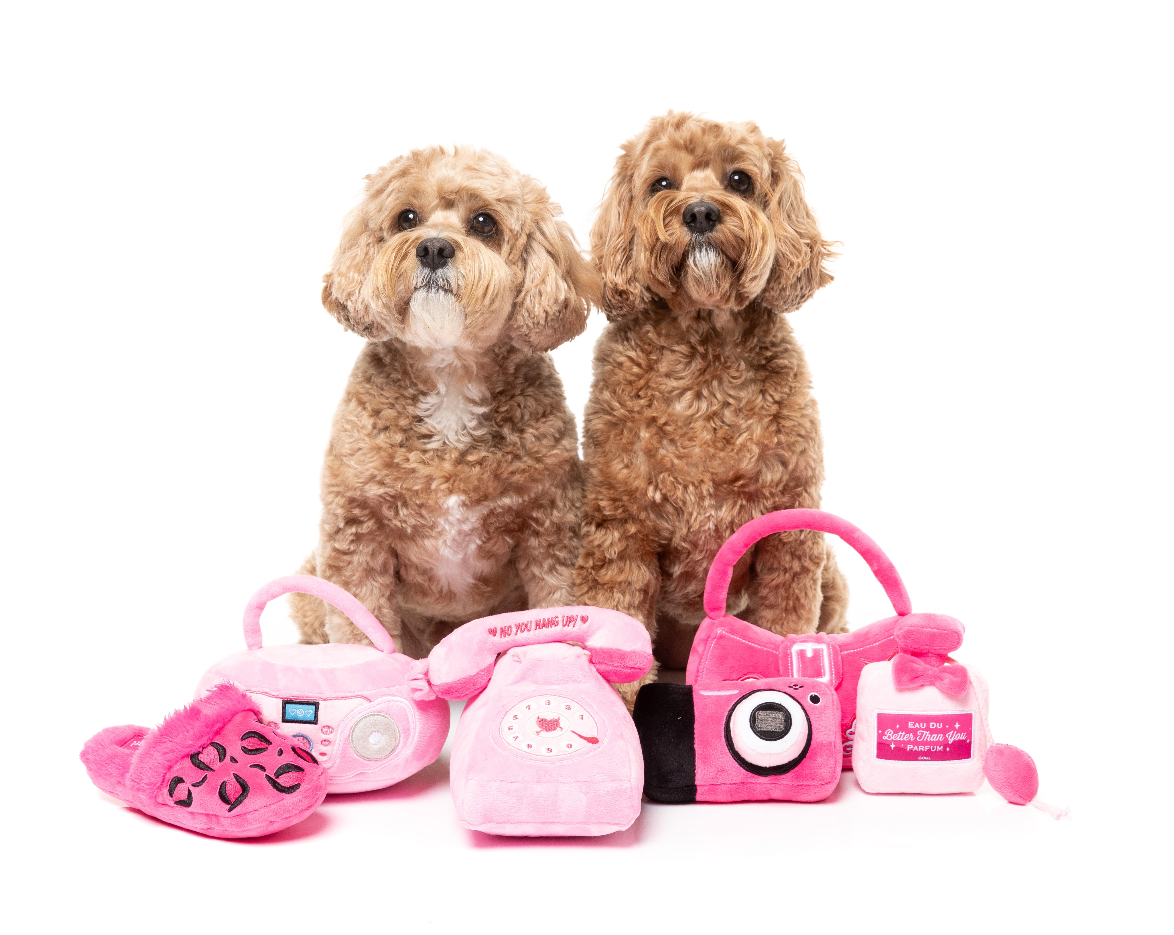 FuzzYard - YOU HANG UP LANDLINE