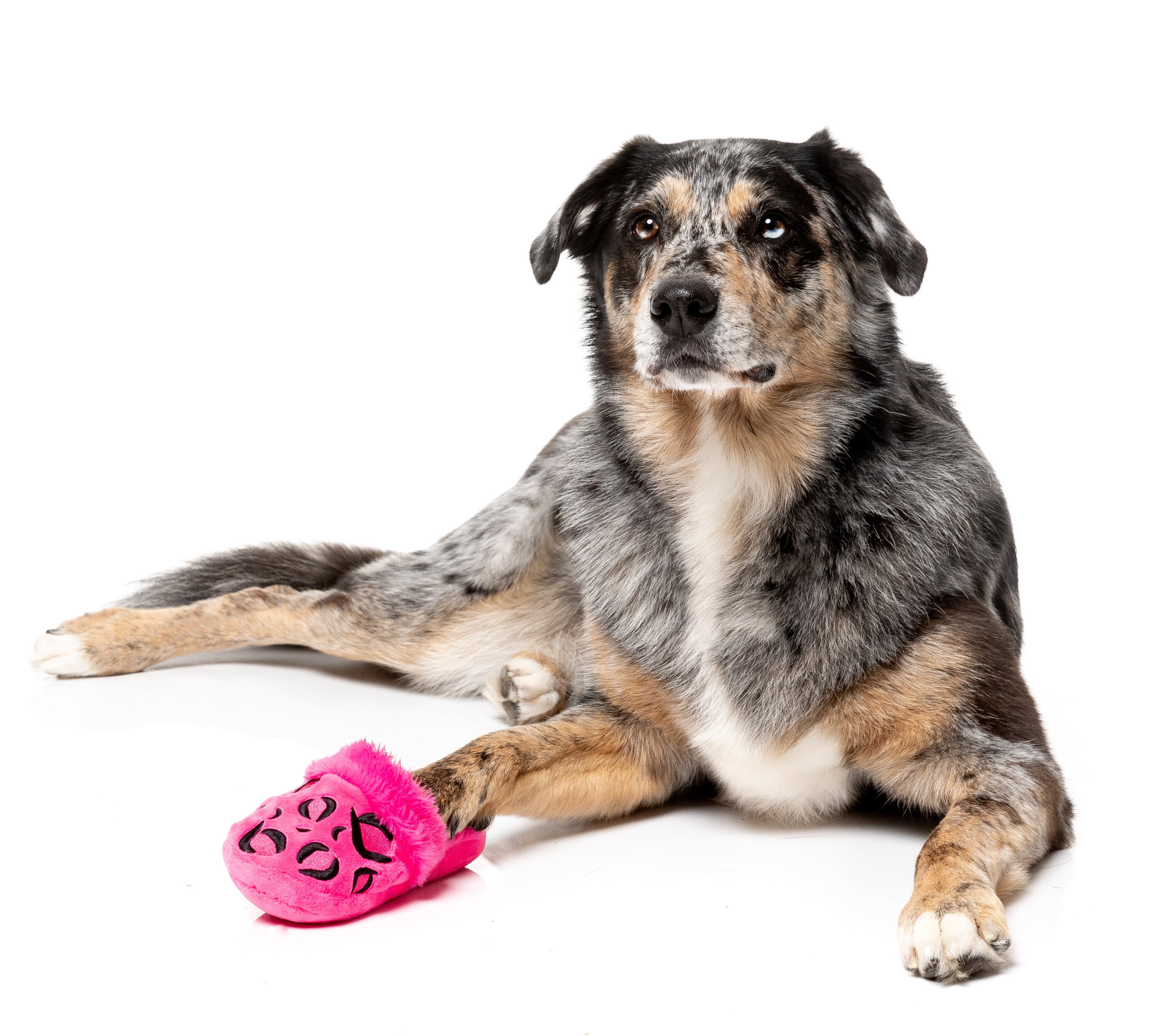 FuzzYard - ANGEL SLIPPER