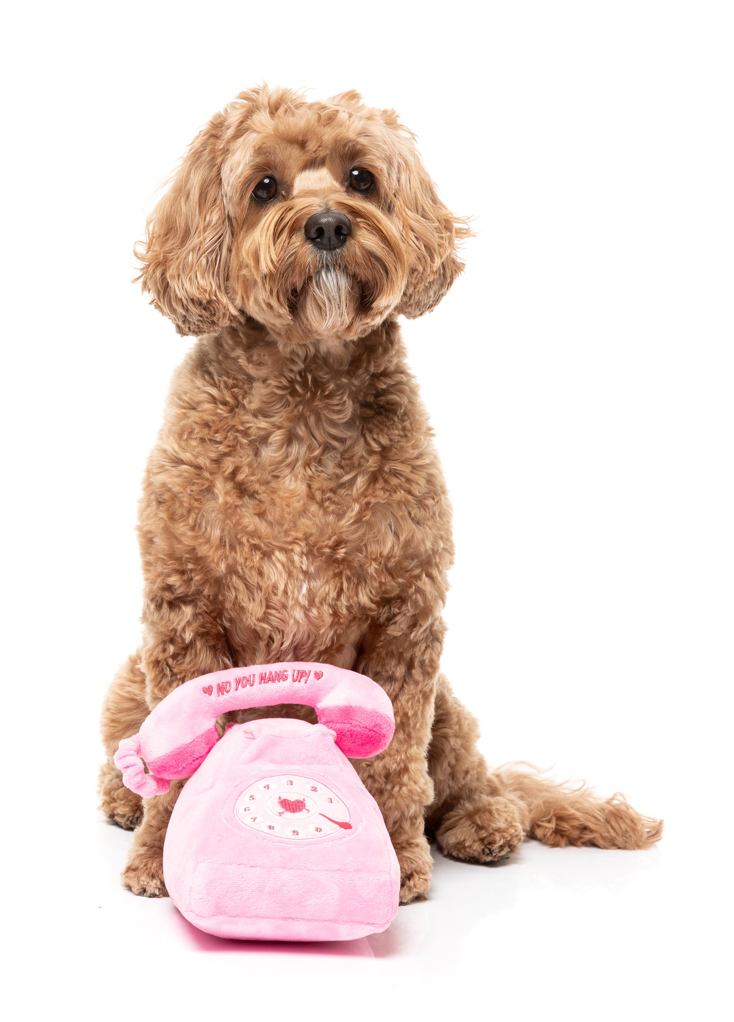 FuzzYard - YOU HANG UP LANDLINE