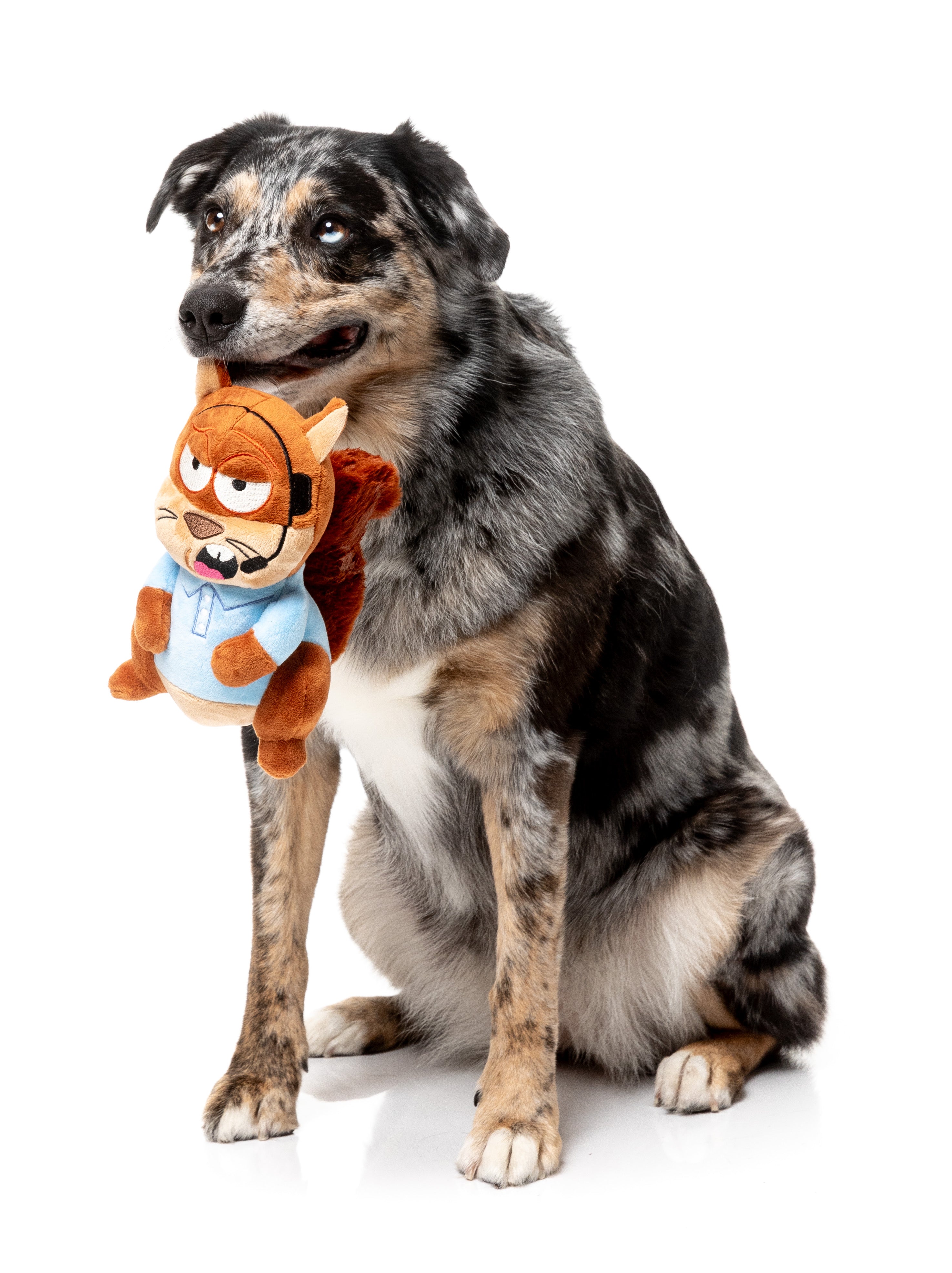 FuzzYard - TELEMARKETER TOM