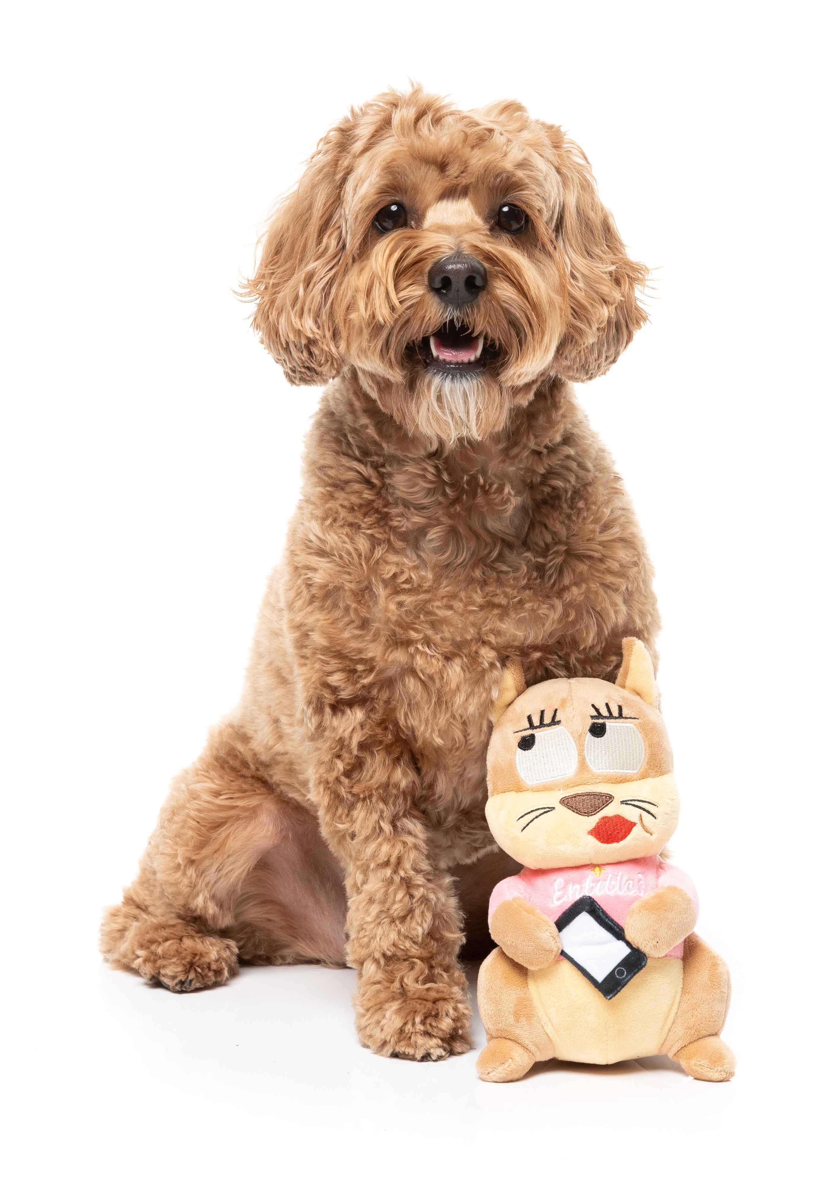 FuzzYard - #ASHLEIGH