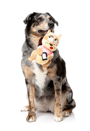 FuzzYard - #ASHLEIGH