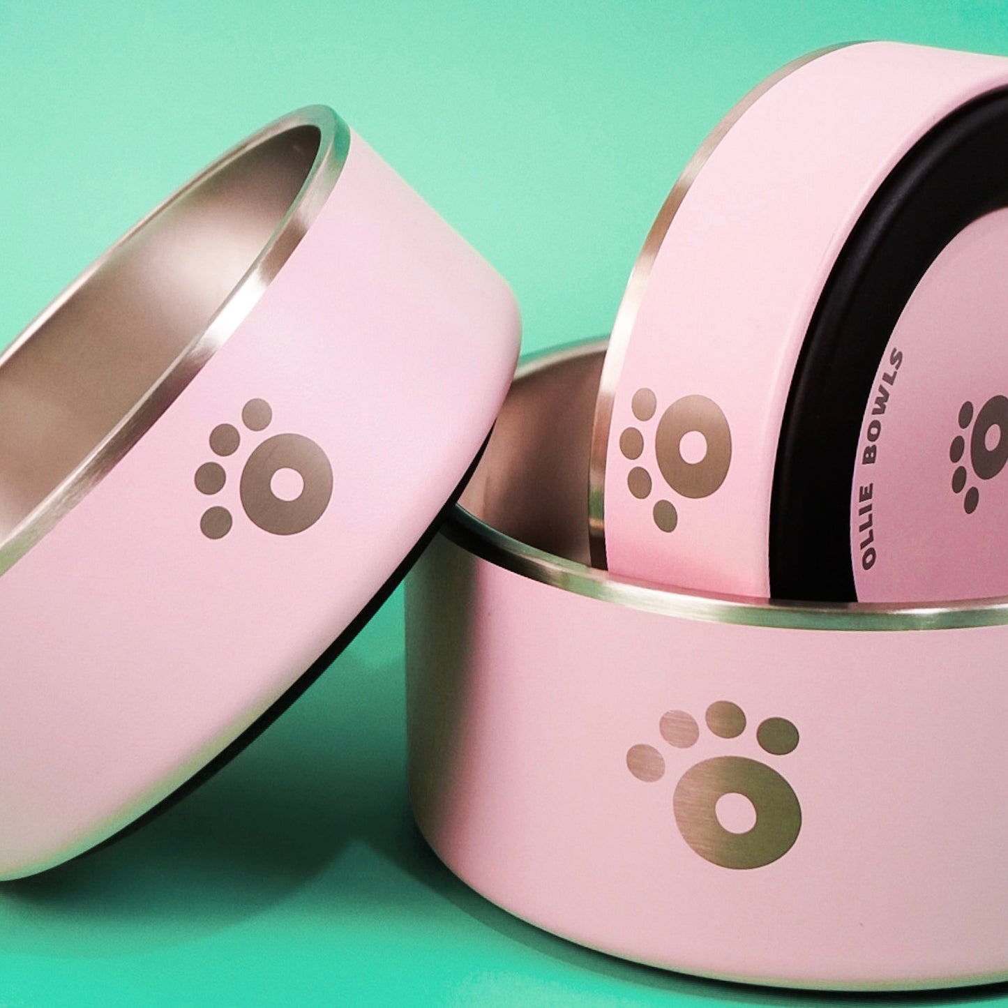 Ballet Pink - Ollie Bowl (32oz)