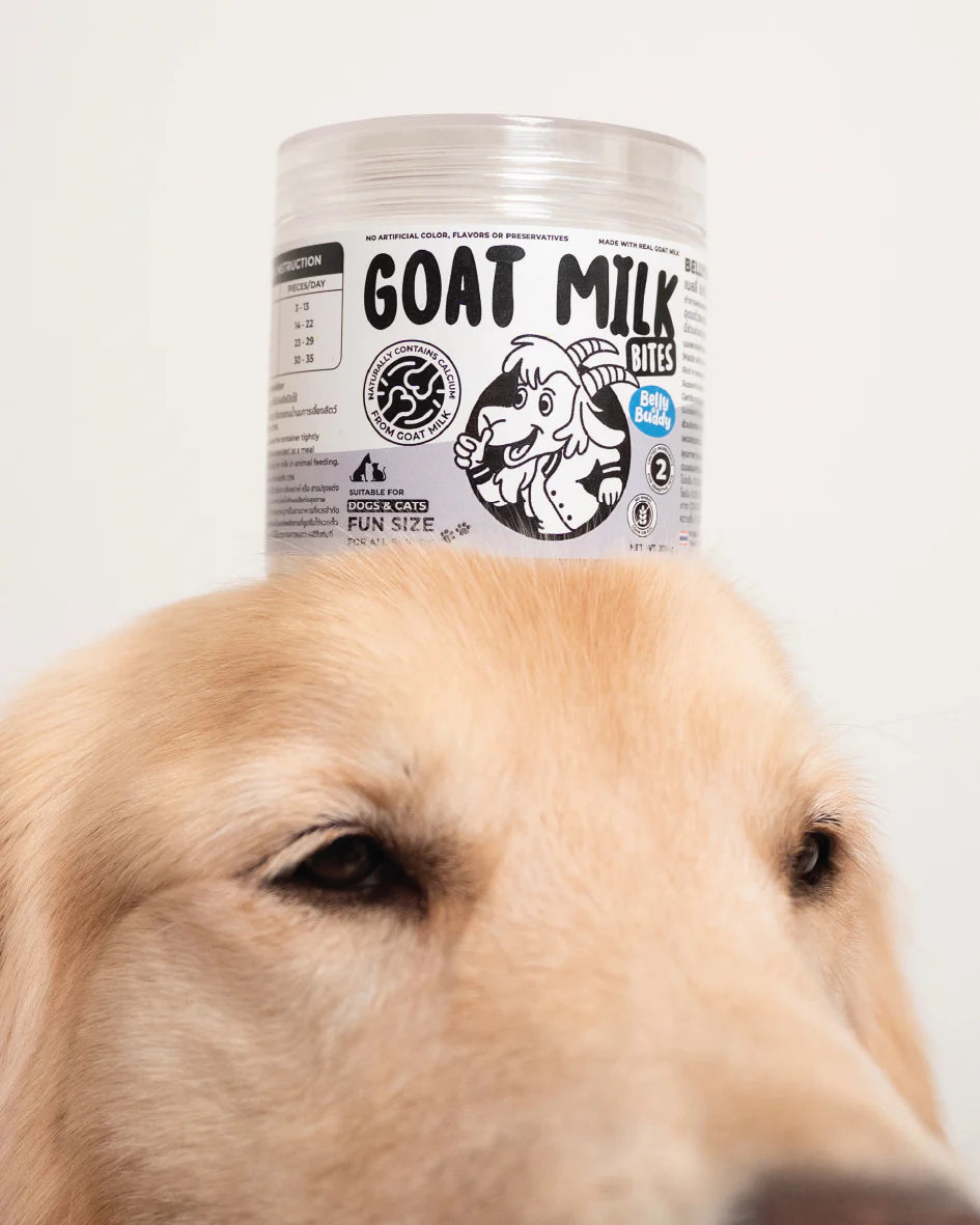 Goat_Milk_jpg.webp