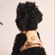 Ollie Walkies: Body Harness - Cinnamon