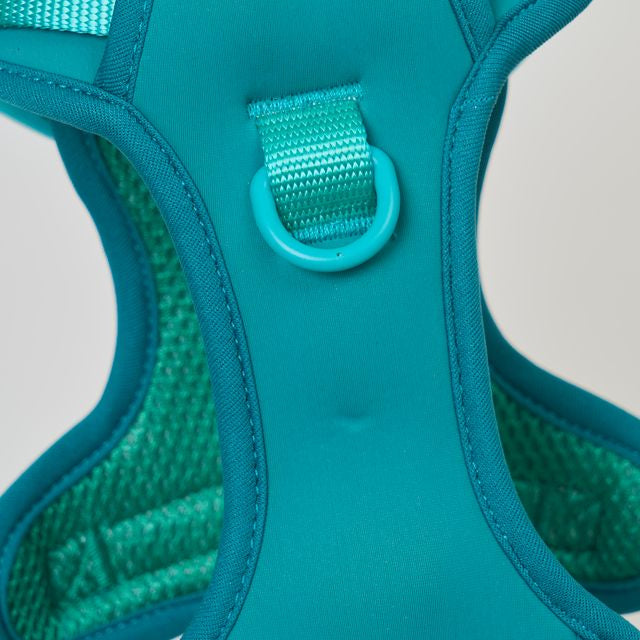 Ollie Walkies:  Body Harness - Teal