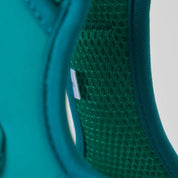 Ollie Walkies:  Body Harness - Teal