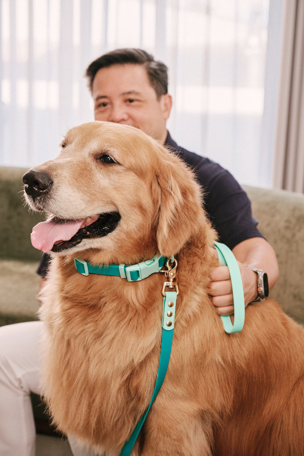 Ollie Walkies Classic - Collar and Leash Set - Aqua