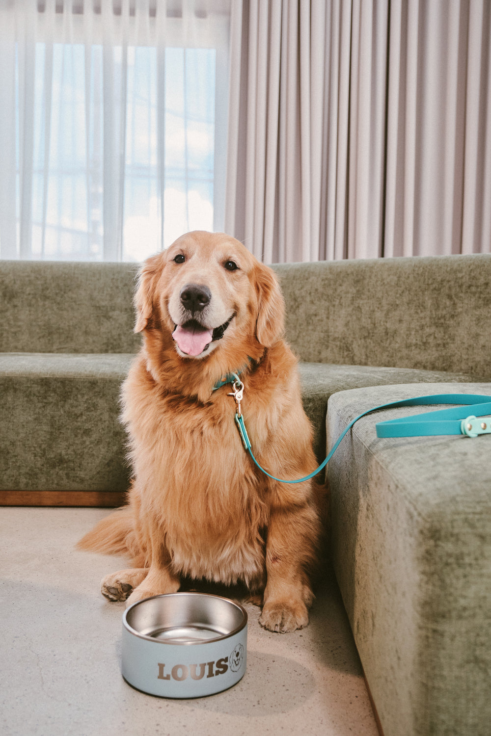 Ollie Walkies Classic - Collar and Leash Set - Aqua