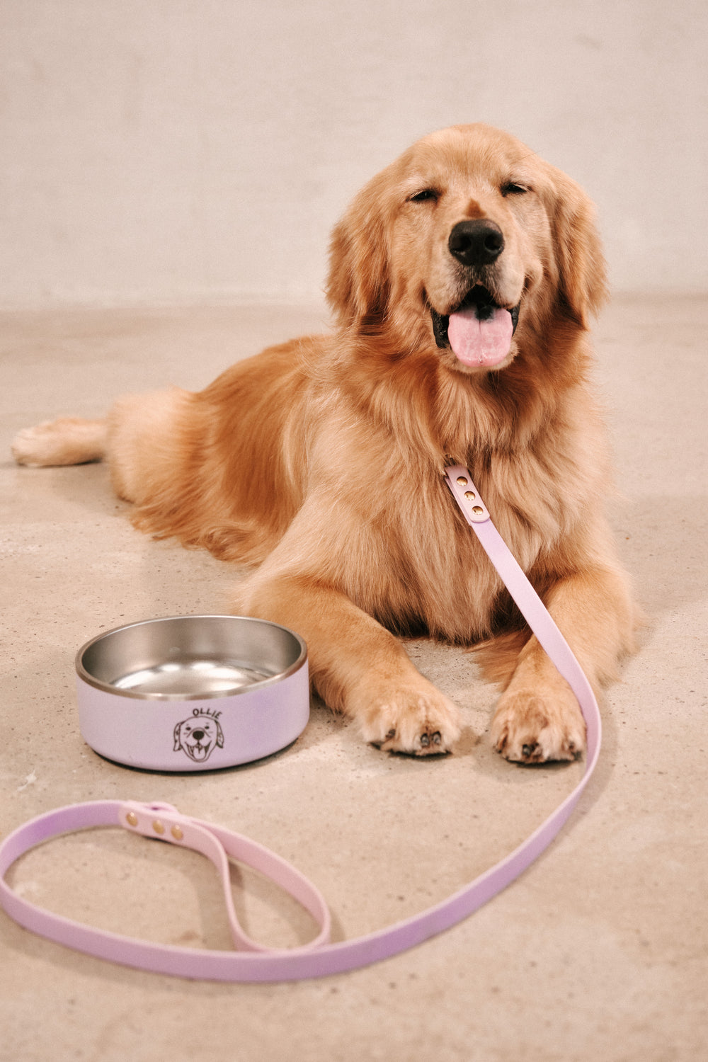 Ollie Walkies Classic - Collar and Leash Set - Lilac