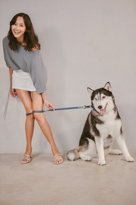 Ollie Walkies Classic - Collar and Leash Set - Navy