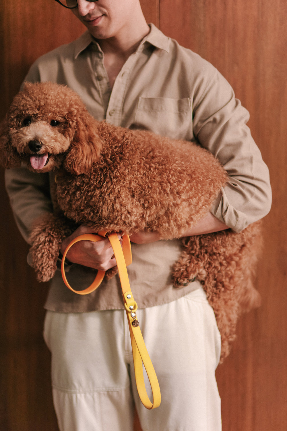 Ollie Walkies Classic - Collar and Leash Set - Lemonade