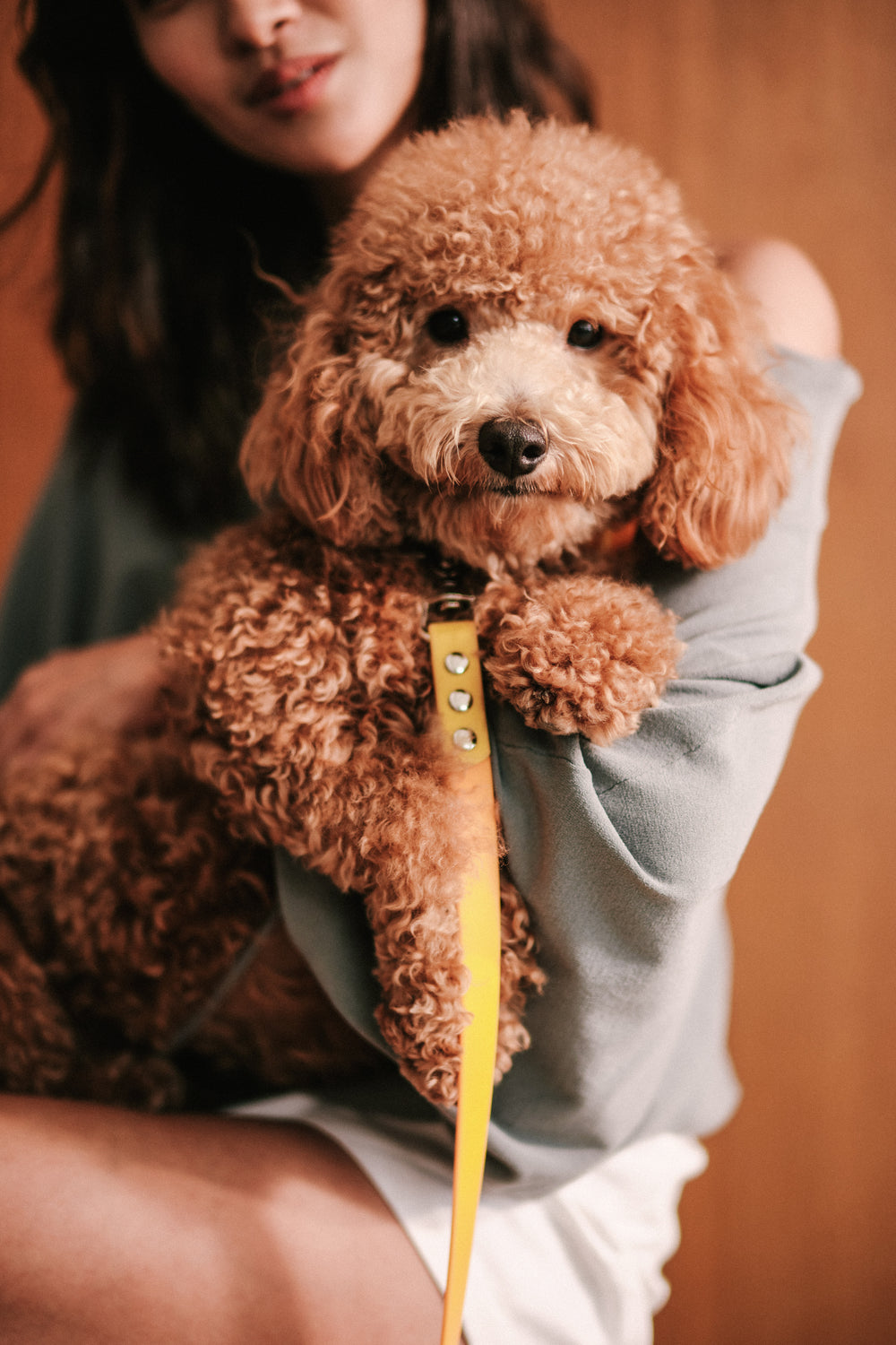 Ollie Walkies Classic - Collar and Leash Set - Lemonade