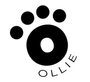 Ollie Bubbles - Dishwashing Liquid - 500ML