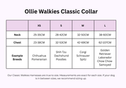 Ollie Walkies Classic - SMALL - Full Set (Collar, Harness and Leash Set): Aqua