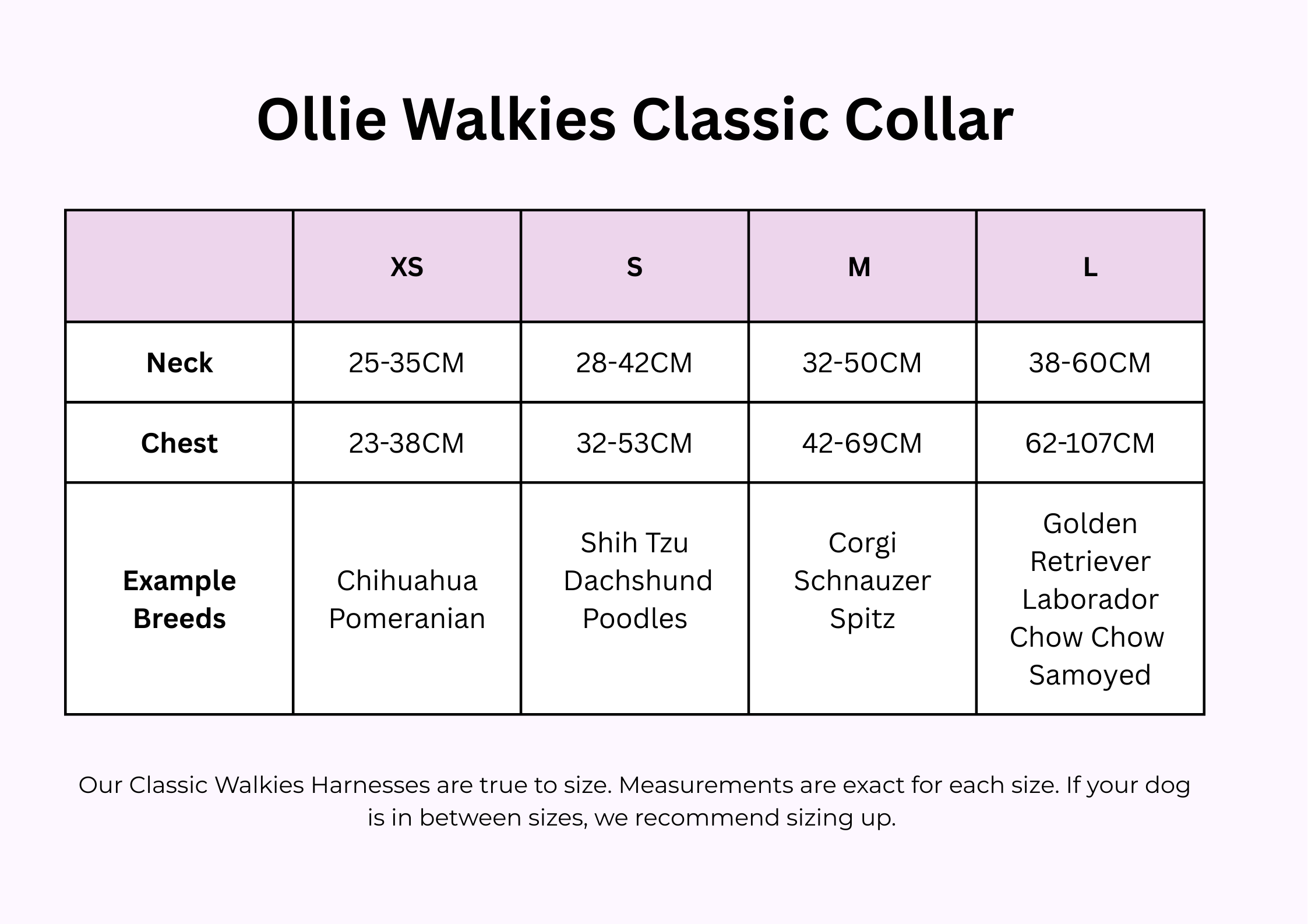 Ollie Walkies Classic - SMALL - Full Set (Collar, Harness and Leash Set): Aqua