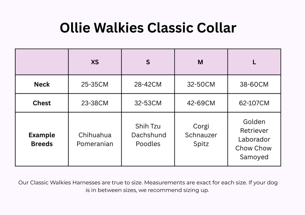 Ollie Walkies Classic - SMALL - Full Set (Collar, Harness and Leash Set): Aqua