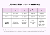 Ollie Walkies Classic - SMALL - Full Set (Collar, Harness and Leash Set): Aqua