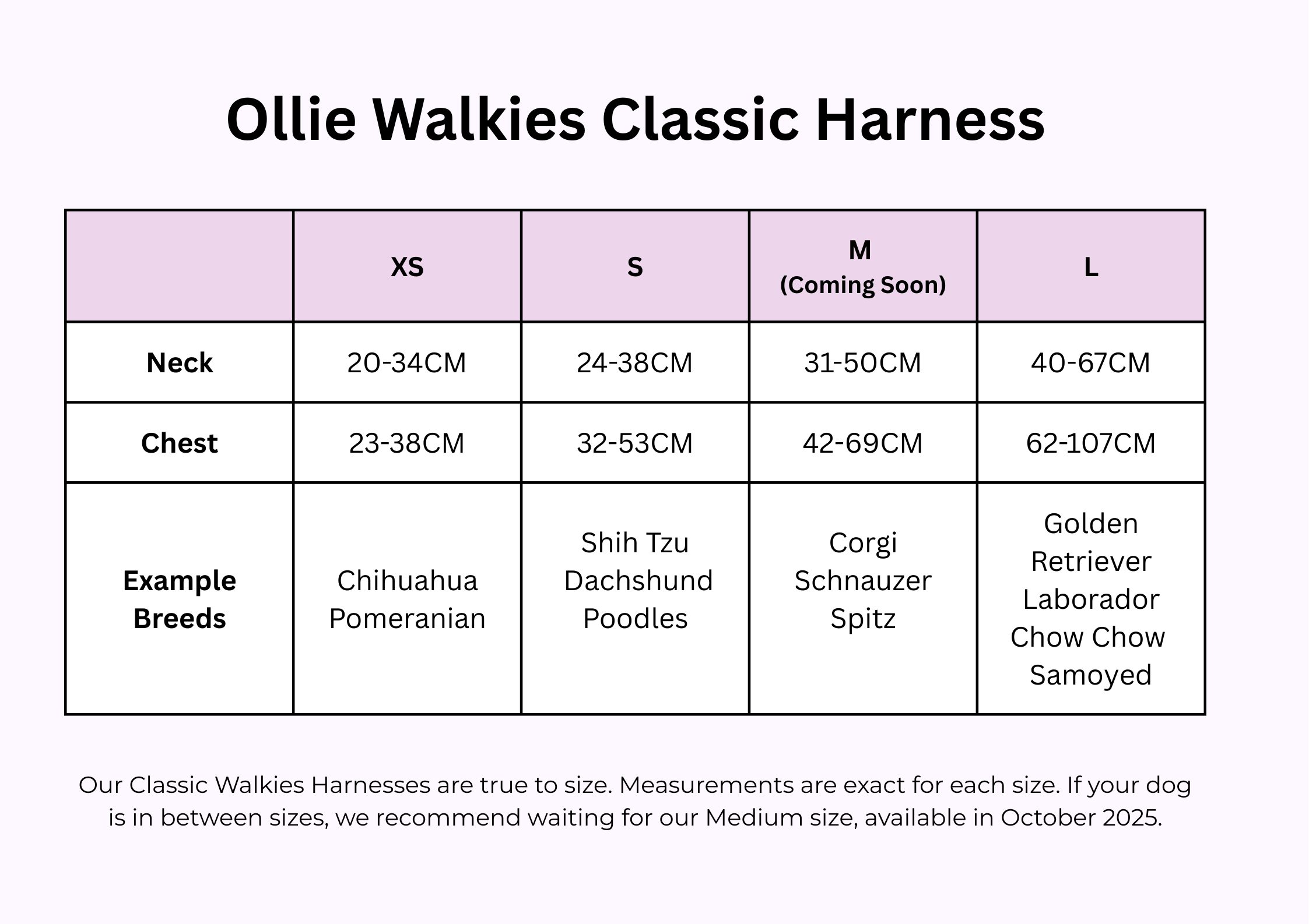 Ollie Walkies Classic - SMALL - Full Set (Collar, Harness and Leash Set): Aqua