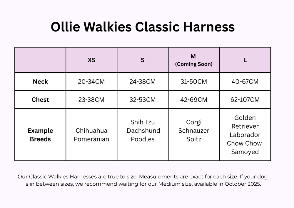 Ollie Walkies Classic - SMALL - Full Set (Collar, Harness and Leash Set): Aqua