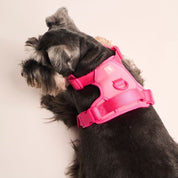 Ollie Walkies: Body Harness - Hot Pink