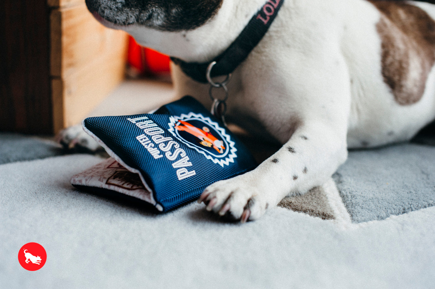 P.L.A.Y Pupster Passport