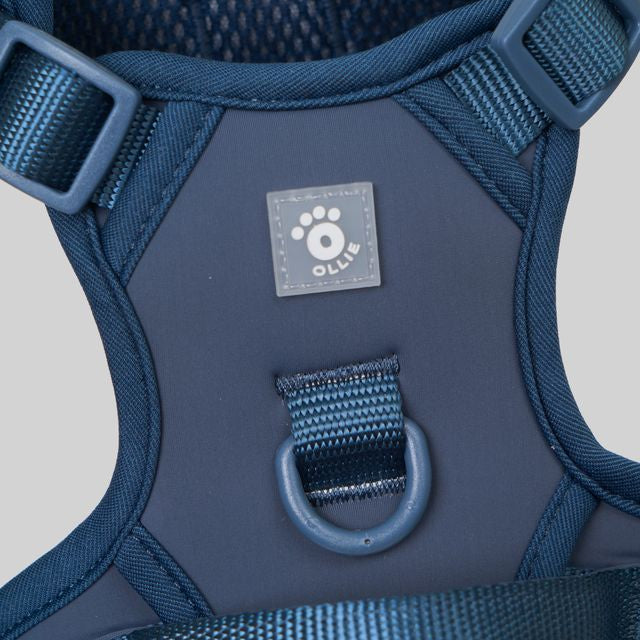 Ollie Walkies:  Body Harness - Navy