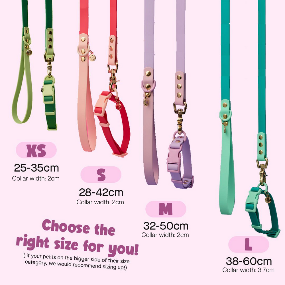Ollie Walkies: Classic - Aqua (Collar)