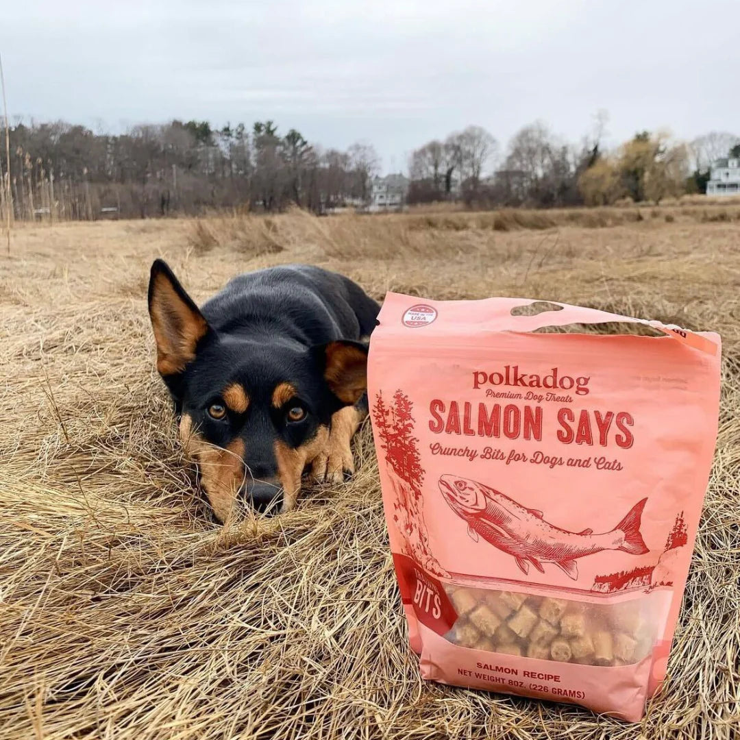 Polkadog: Salmon Says 7oz Pouch