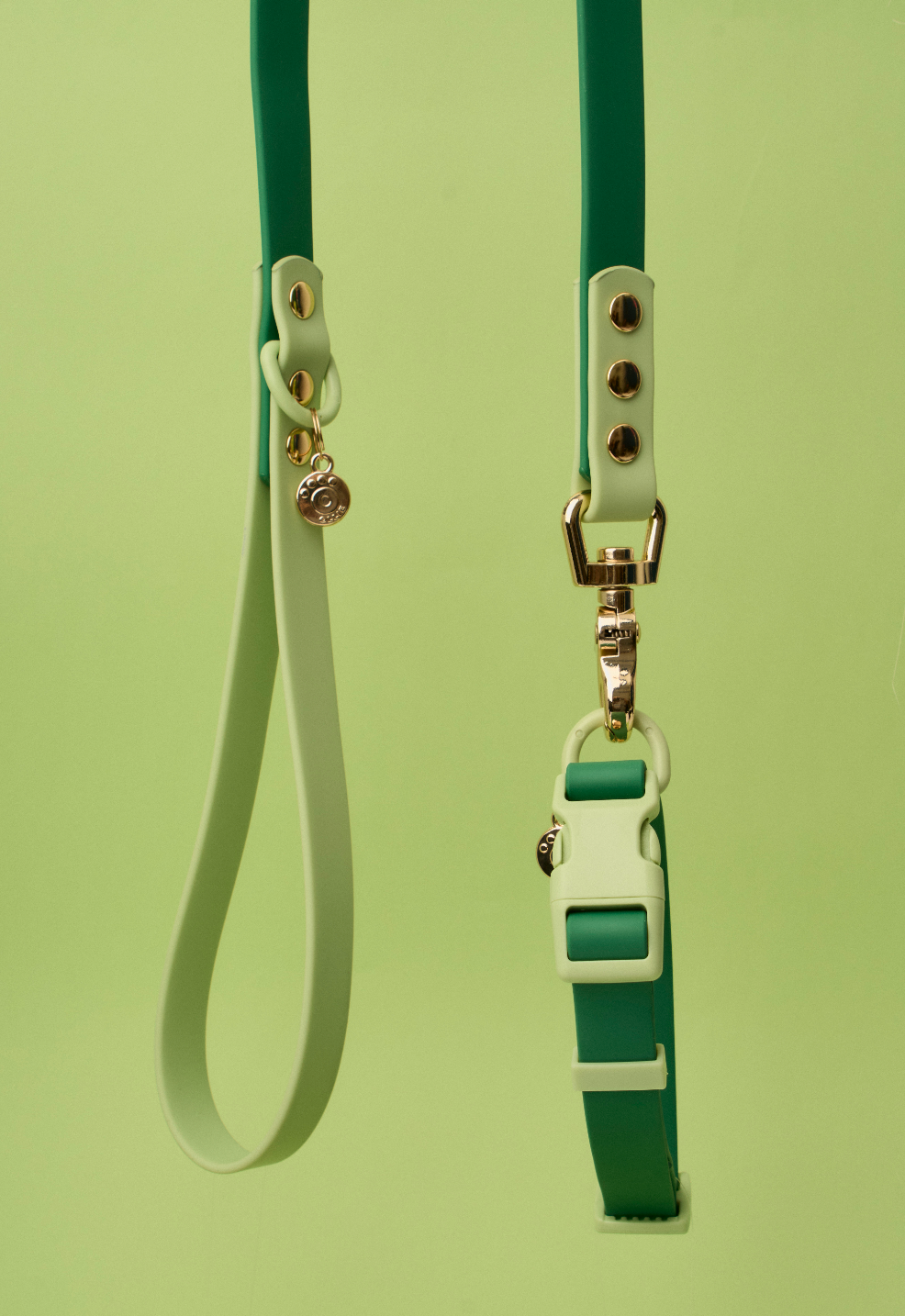 Ollie Walkies Classic - Collar and Leash Set - Seaweed