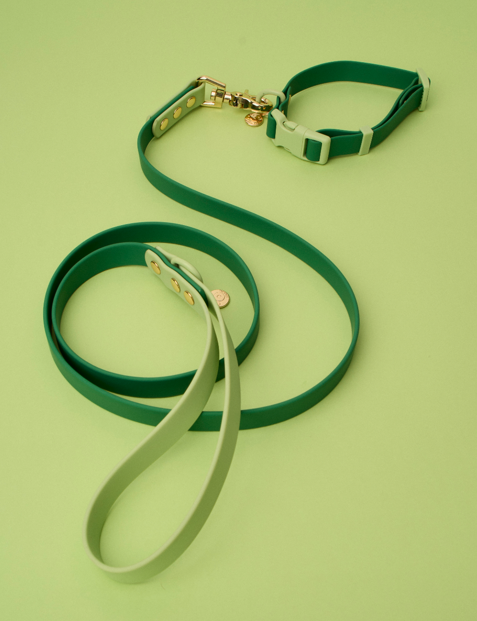 Ollie Walkies Classic - Collar and Leash Set - Seaweed