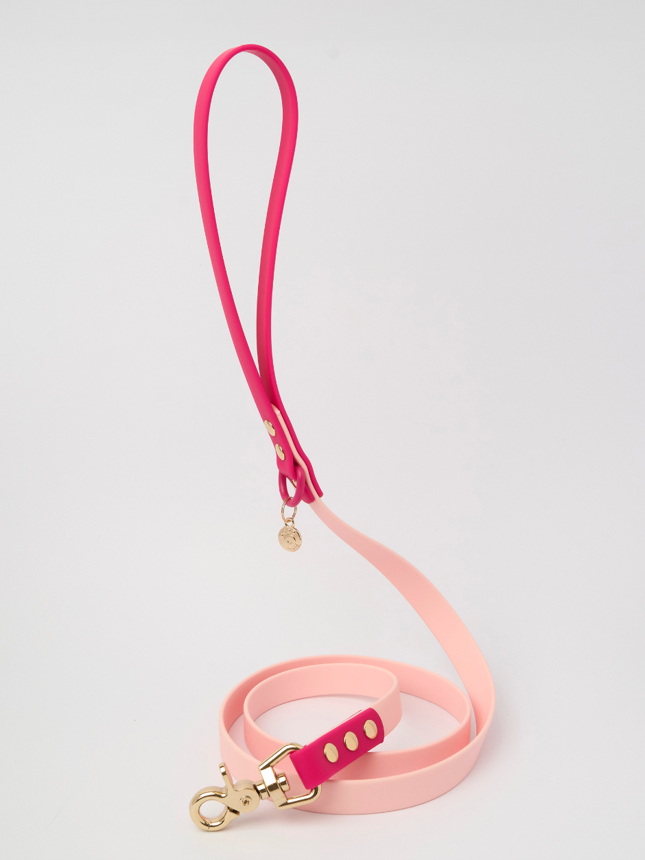 Ollie Walkies: Classic - Hot Pink (Leash)