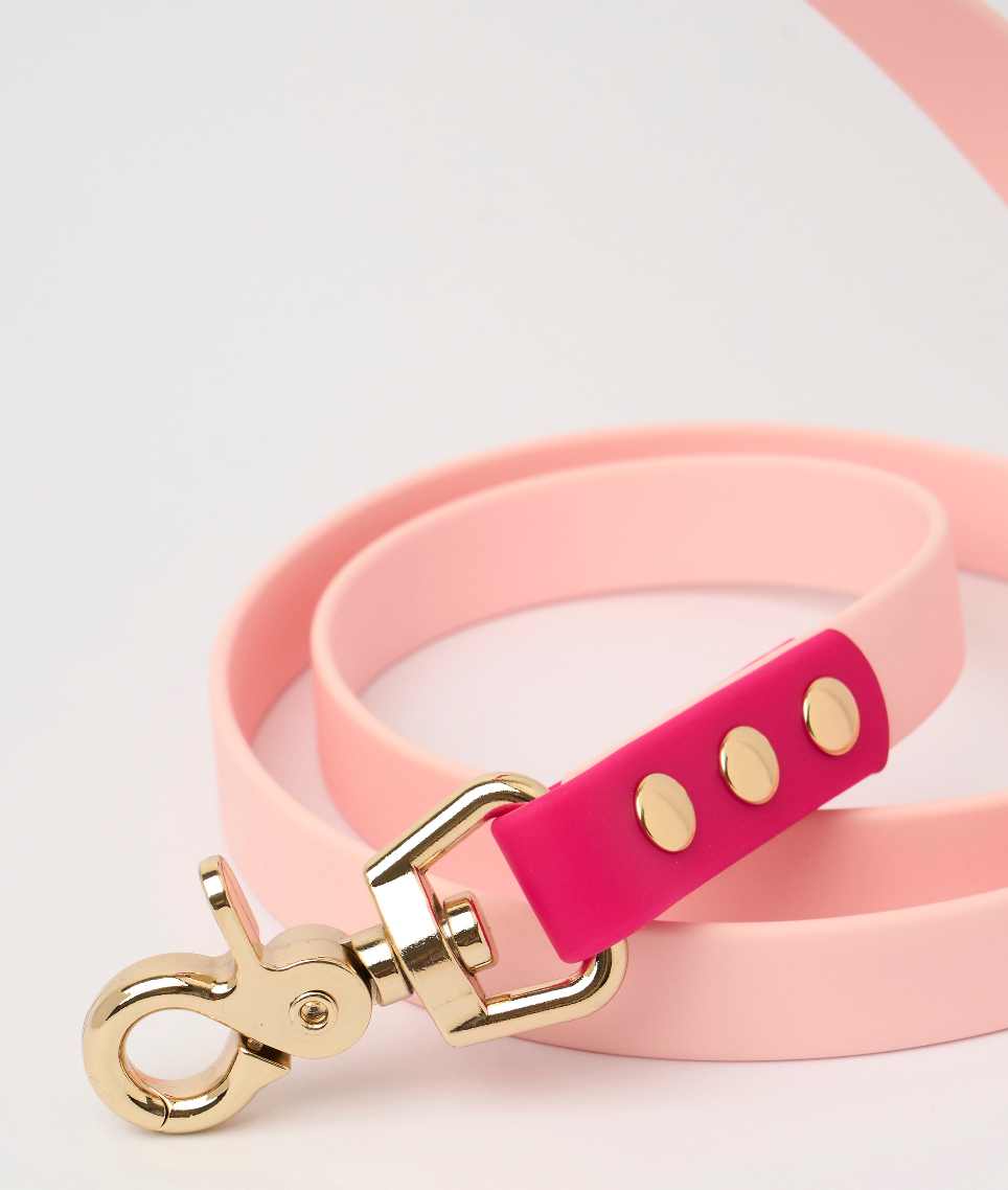 Ollie Walkies: Classic - Hot Pink (Leash)