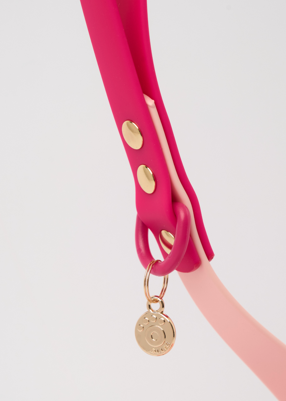 Ollie Walkies: Classic - Hot Pink (Leash)