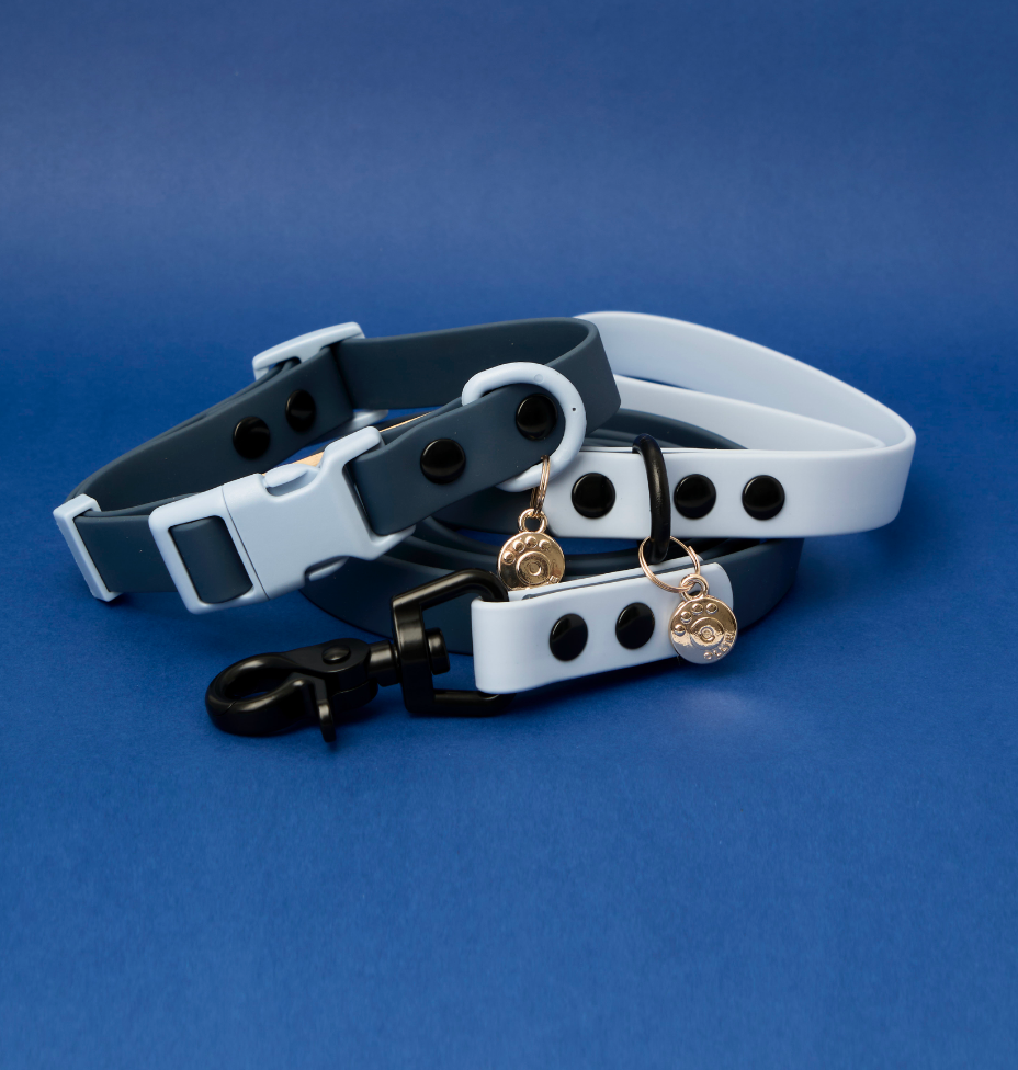 Ollie Walkies Classic - Collar and Leash Set - Navy