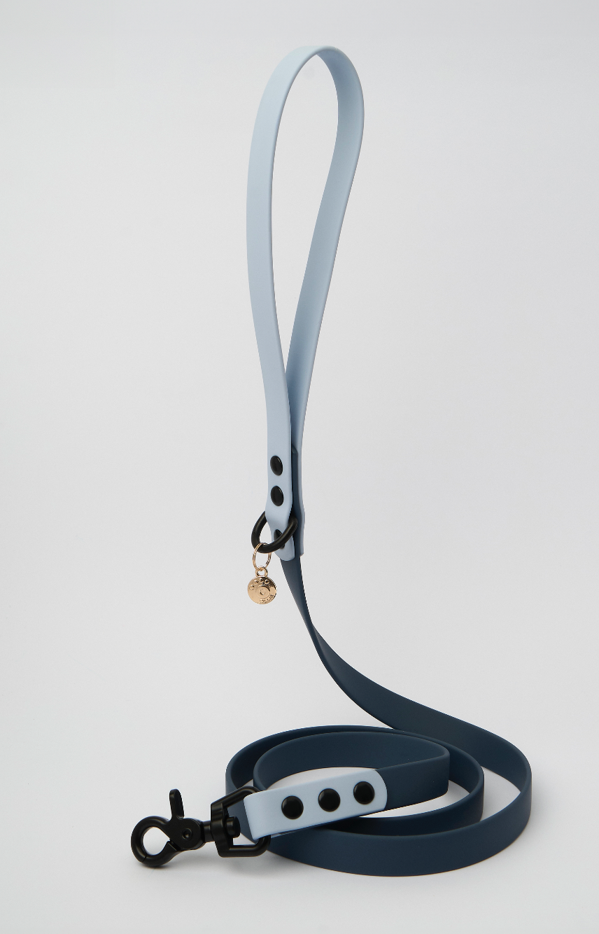 Ollie Walkies Classic - Collar and Leash Set - Navy