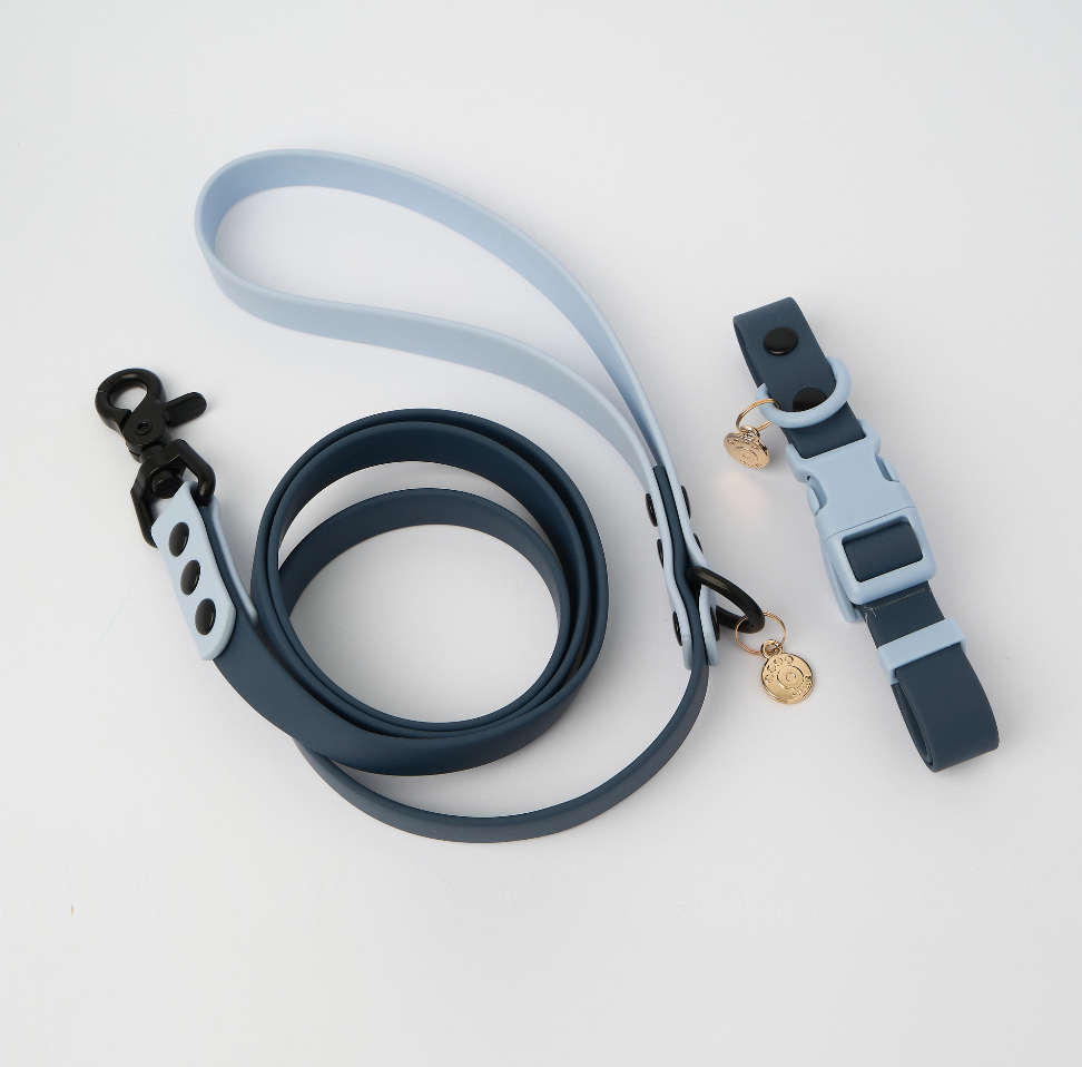 Ollie Walkies Classic - Collar and Leash Set - Navy
