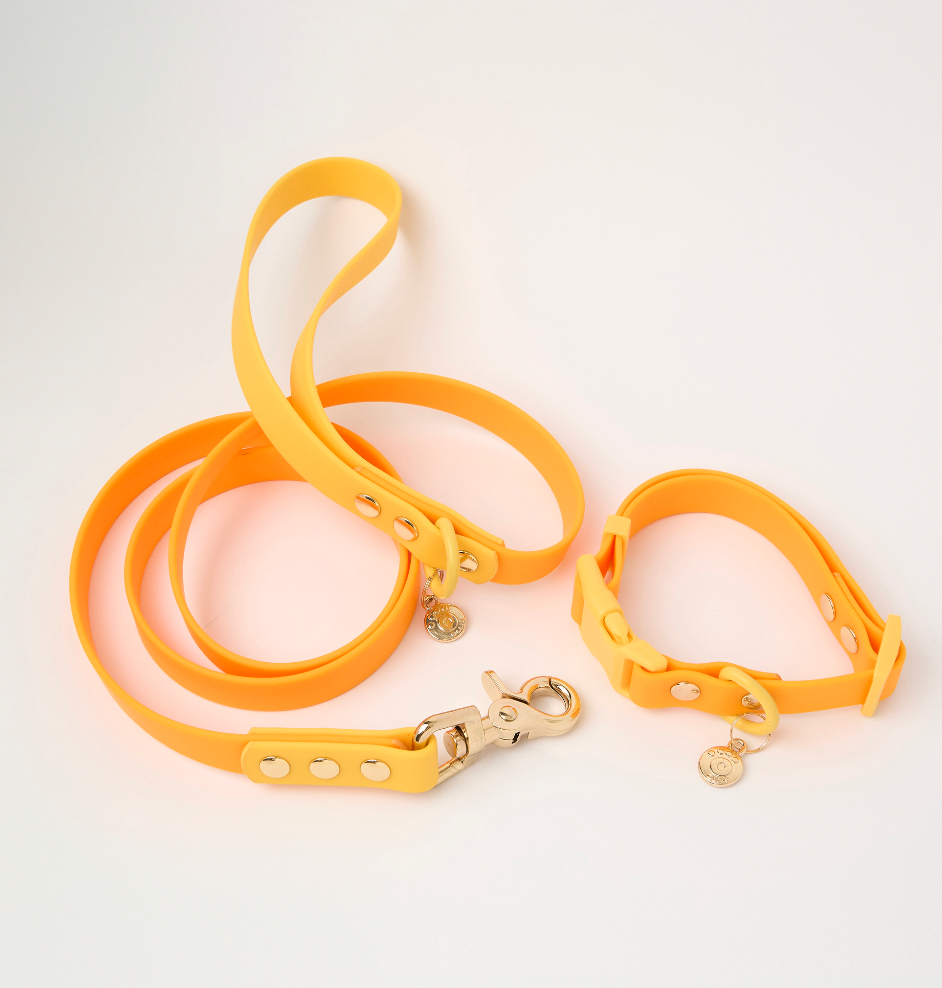 Ollie Walkies Classic - Collar and Leash Set - Lemonade