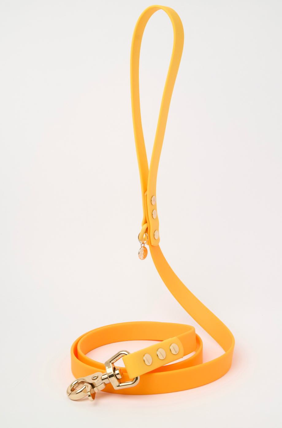 Ollie Walkies Classic - Collar and Leash Set - Lemonade