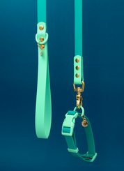 Ollie Walkies Set - Aqua