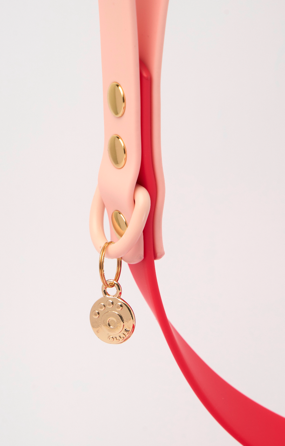 Ollie Walkies Classic - Collar and Leash Set - Watermelon