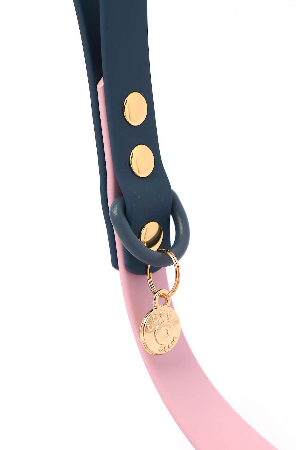 Ollie Walkies Classic - Collar and Leash Set - Otto's Purple