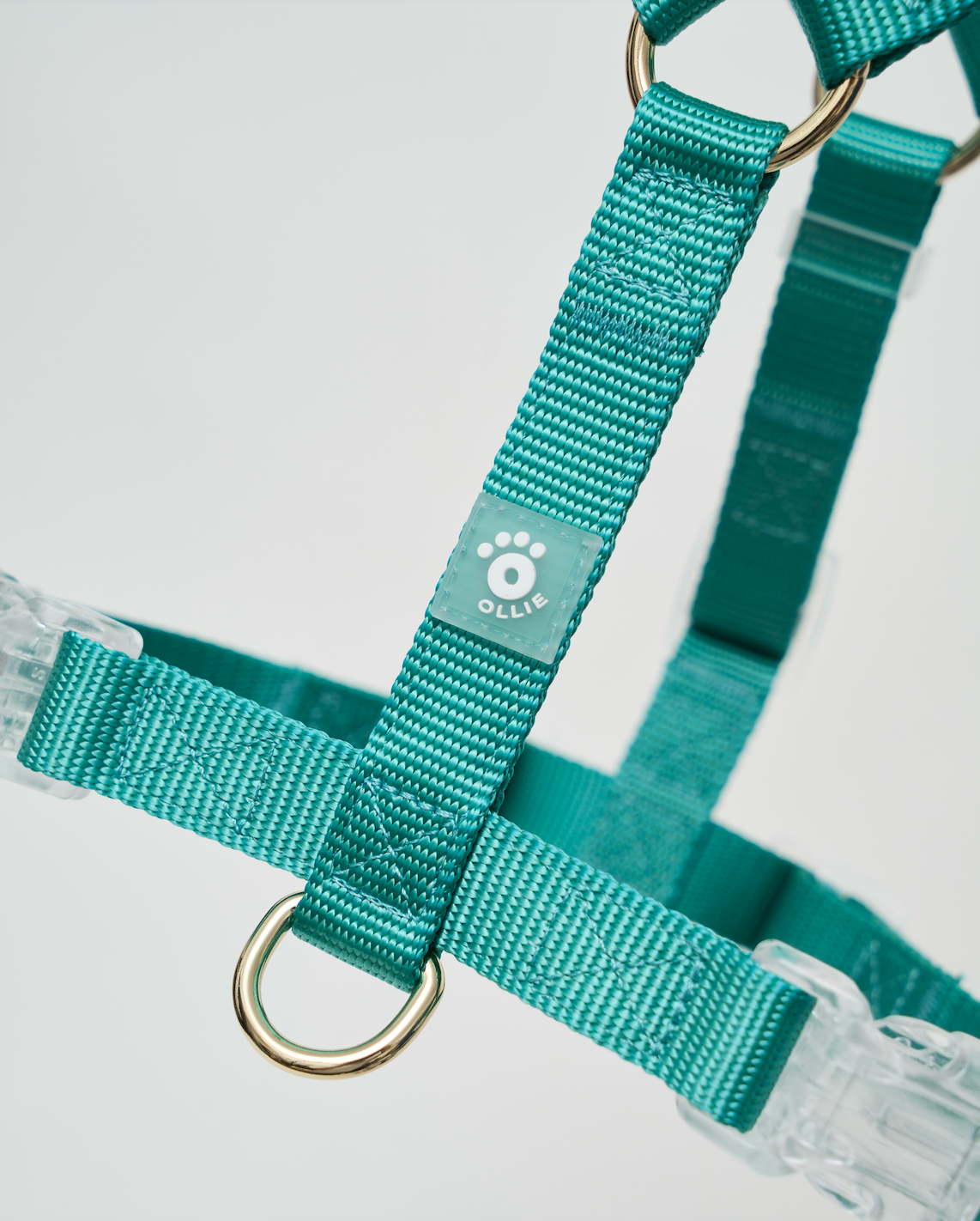 Ollie Walkies Aero Paw Emerald (Harness) Ollie Bowls