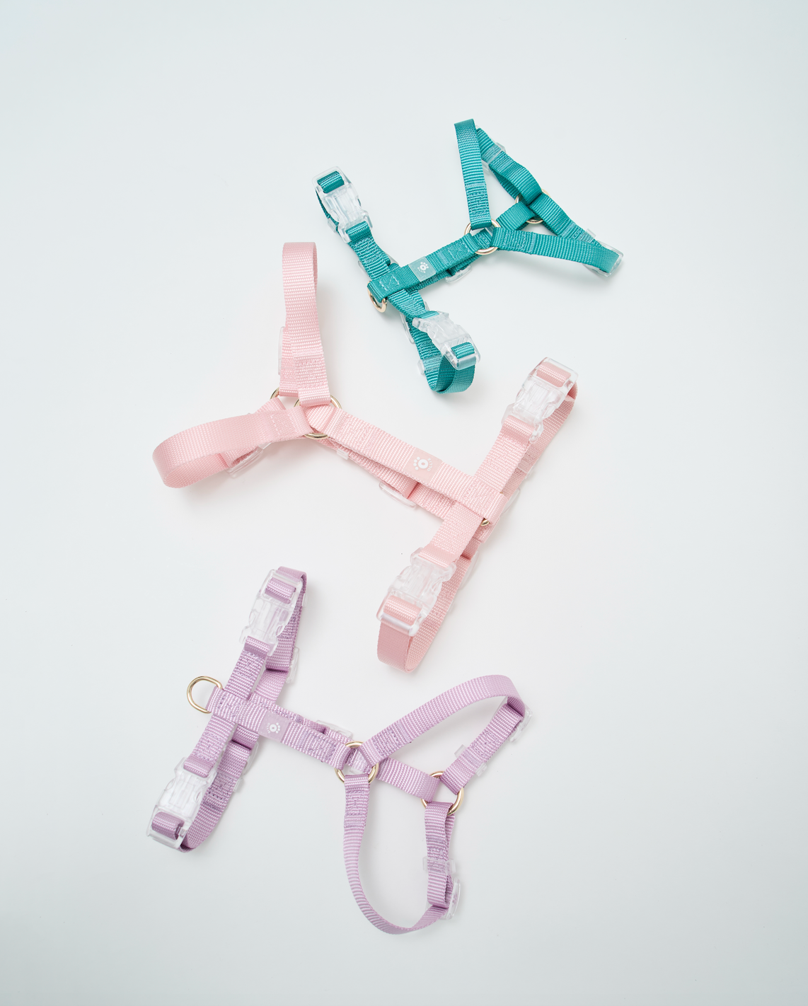 Ollie Walkies Aero Paw Emerald (Harness) Ollie Bowls