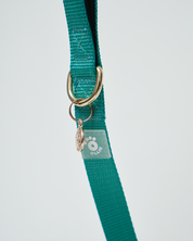 Ollie Walkies: Aero Paw - Emerald (Leash)