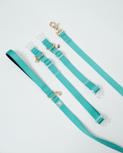 Ollie Walkies: Aero Paw - Emerald (Leash)